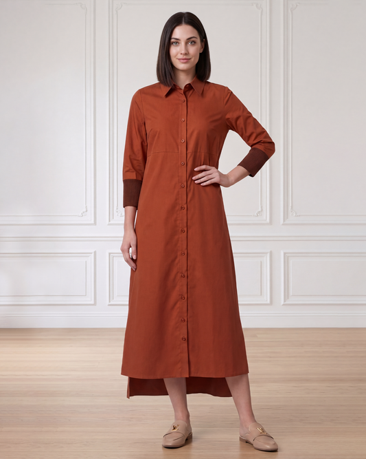 Oversized Blouse Dress